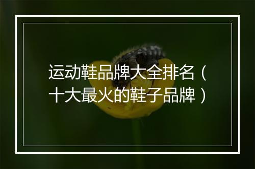 运动鞋品牌大全排名（十大最火的鞋子品牌）
