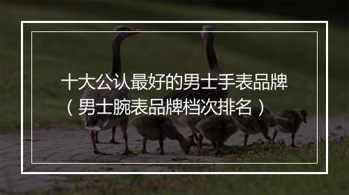 十大公认最好的男士手表品牌（男士腕表品牌档次排名）