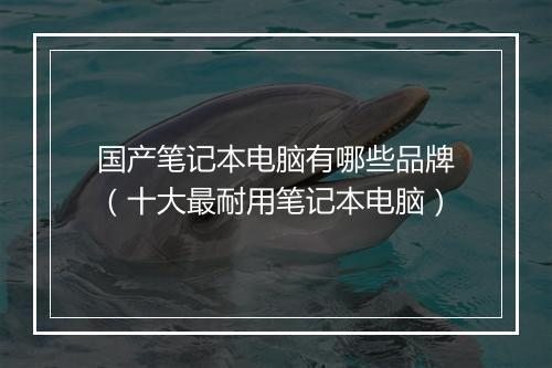 国产笔记本电脑有哪些品牌（十大最耐用笔记本电脑）