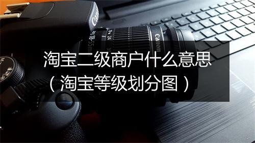淘宝二级商户什么意思（淘宝等级划分图）