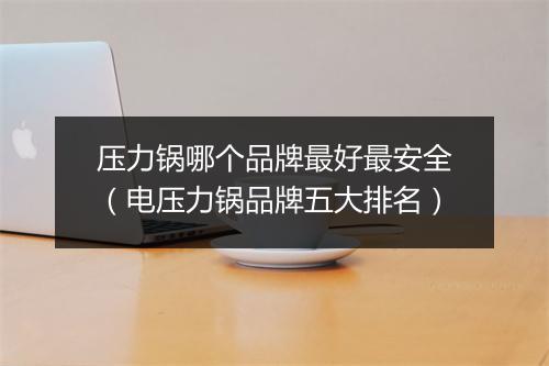 压力锅哪个品牌最好最安全（电压力锅品牌五大排名）