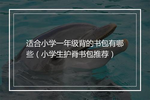 适合小学一年级背的书包有哪些（小学生护脊书包推荐）