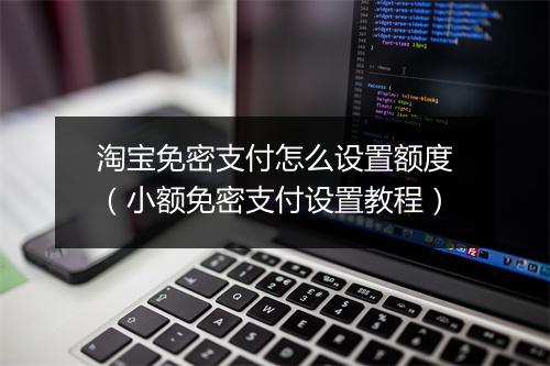 淘宝免密支付怎么设置额度（小额免密支付设置教程）