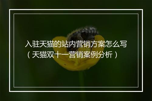 入驻天猫的站内营销方案怎么写（天猫双十一营销案例分析）