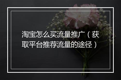 淘宝怎么买流量推广（获取平台推荐流量的途径）