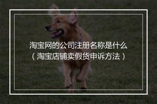 淘宝网的公司注册名称是什么（淘宝店铺卖假货申诉方法）