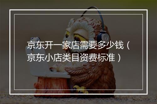 京东开一家店需要多少钱（京东小店类目资费标准）