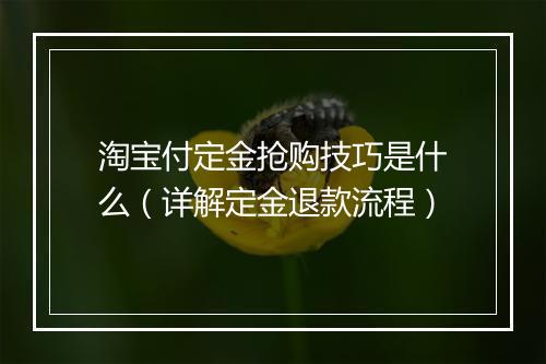 淘宝付定金抢购技巧是什么（详解定金退款流程）