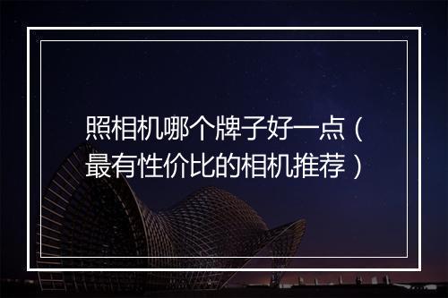 照相机哪个牌子好一点（最有性价比的相机推荐）
