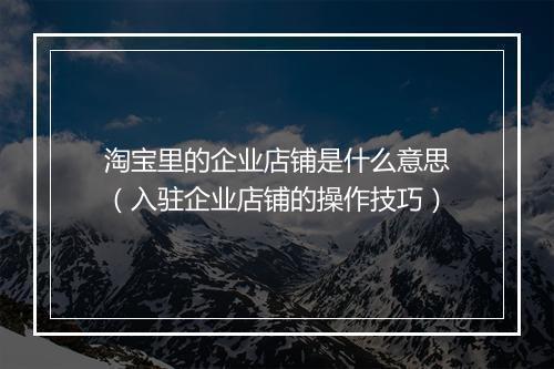 淘宝里的企业店铺是什么意思（入驻企业店铺的操作技巧）