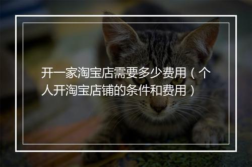 开一家淘宝店需要多少费用（个人开淘宝店铺的条件和费用）