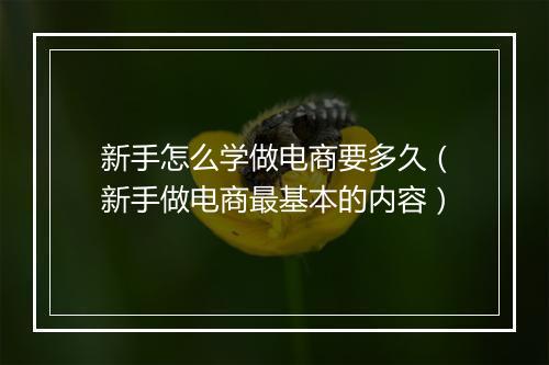 新手怎么学做电商要多久（新手做电商最基本的内容）