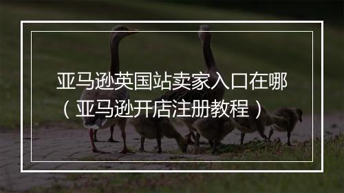 亚马逊英国站卖家入口在哪（亚马逊开店注册教程）