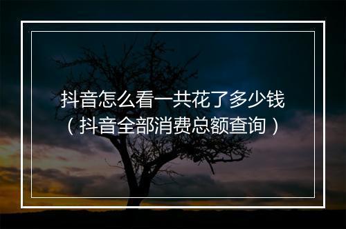 抖音怎么看一共花了多少钱（抖音全部消费总额查询）