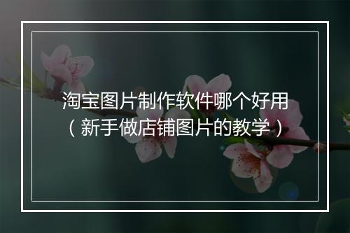 淘宝图片制作软件哪个好用（新手做店铺图片的教学）