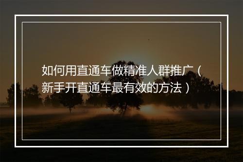 如何用直通车做精准人群推广（新手开直通车最有效的方法）