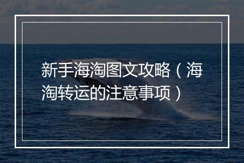 新手海淘图文攻略（海淘转运的注意事项）