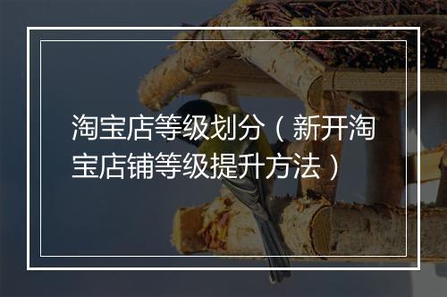 淘宝店等级划分（新开淘宝店铺等级提升方法）