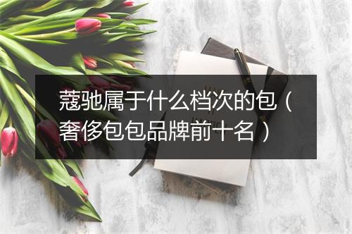 蔻驰属于什么档次的包（奢侈包包品牌前十名）