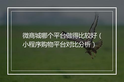 微商城哪个平台做得比较好（小程序购物平台对比分析）