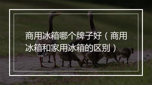商用冰箱哪个牌子好（商用冰箱和家用冰箱的区别）