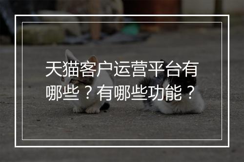 天猫客户运营平台有哪些？有哪些功能？