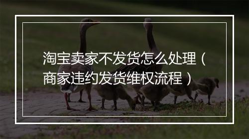 淘宝卖家不发货怎么处理（商家违约发货维权流程）