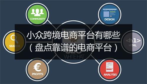 小众跨境电商平台有哪些（盘点靠谱的电商平台）