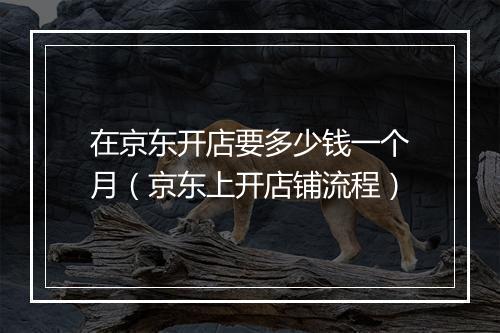 在京东开店要多少钱一个月（京东上开店铺流程）