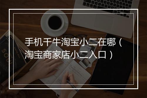 手机千牛淘宝小二在哪（淘宝商家店小二入口）