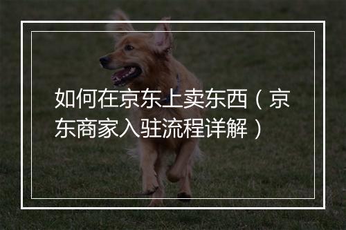如何在京东上卖东西（京东商家入驻流程详解）