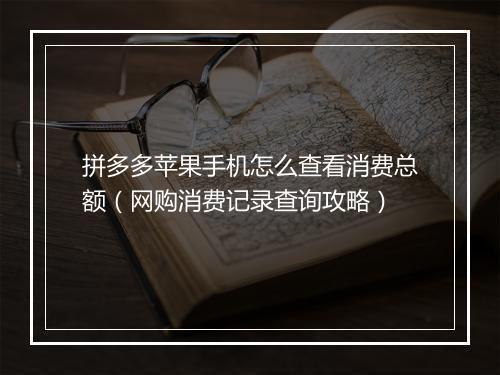 拼多多苹果手机怎么查看消费总额（网购消费记录查询攻略）
