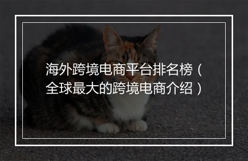 海外跨境电商平台排名榜（全球最大的跨境电商介绍）