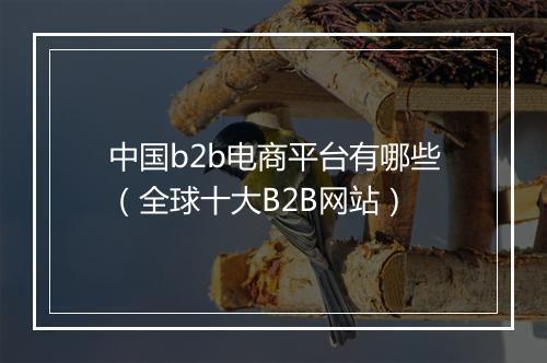 中国b2b电商平台有哪些（全球十大B2B网站）
