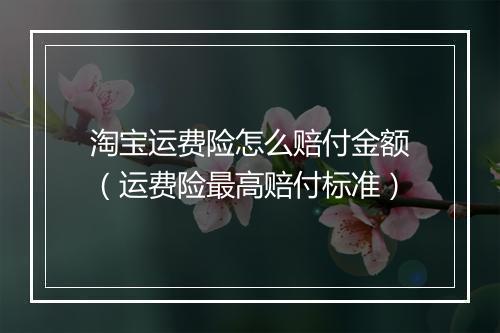 淘宝运费险怎么赔付金额（运费险最高赔付标准）
