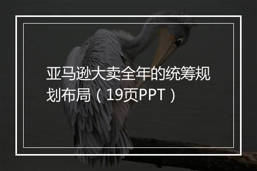 亚马逊大卖全年的统筹规划布局（19页PPT）