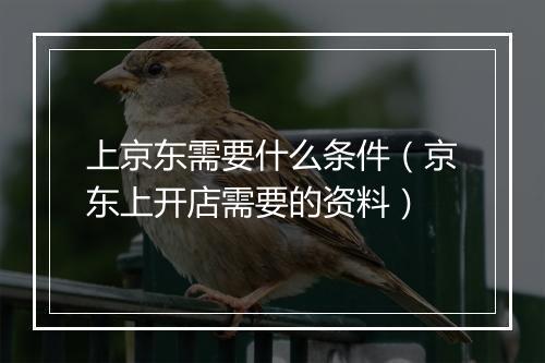 上京东需要什么条件（京东上开店需要的资料）