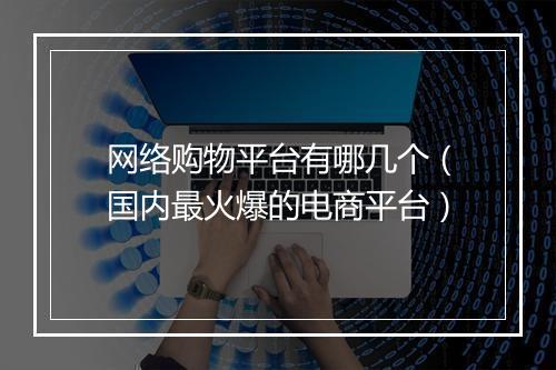网络购物平台有哪几个（国内最火爆的电商平台）