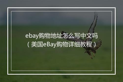 ebay购物地址怎么写中文吗（美国eBay购物详细教程）