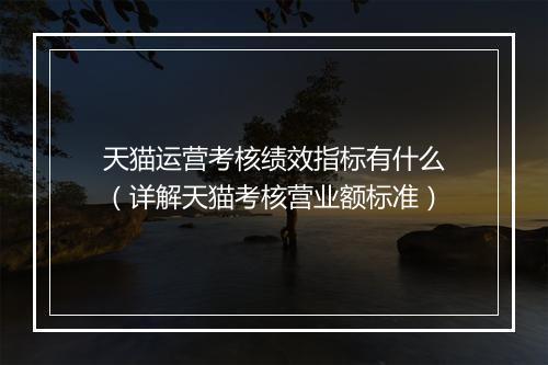 天猫运营考核绩效指标有什么（详解天猫考核营业额标准）