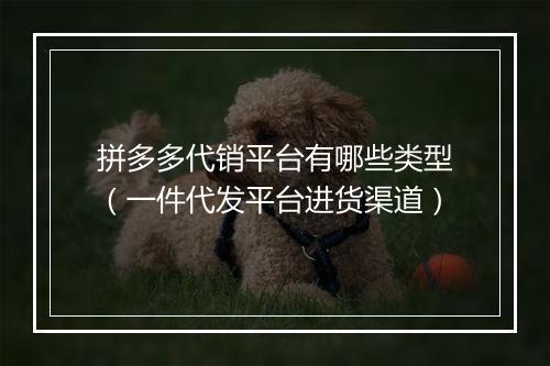 拼多多代销平台有哪些类型（一件代发平台进货渠道）