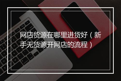 网店货源在哪里进货好（新手无货源开网店的流程）