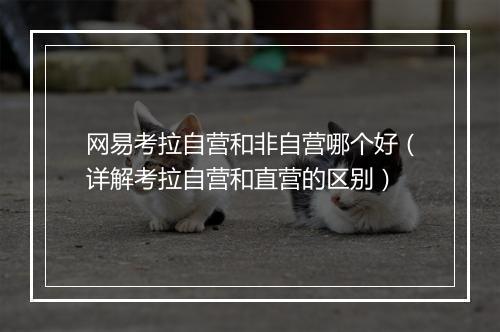 网易考拉自营和非自营哪个好（详解考拉自营和直营的区别）