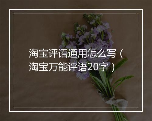 淘宝评语通用怎么写（淘宝万能评语20字）
