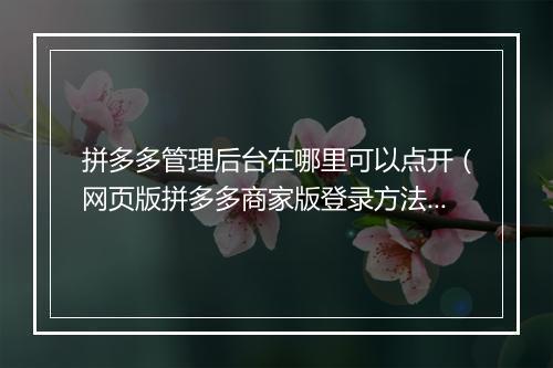 拼多多管理后台在哪里可以点开（网页版拼多多商家版登录方法）