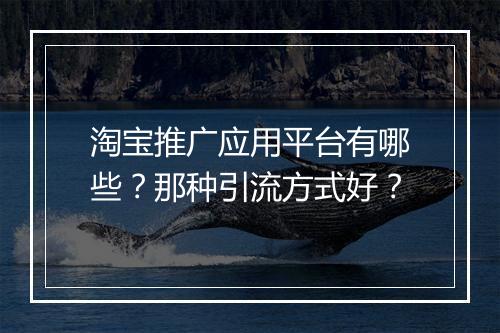 淘宝推广应用平台有哪些？那种引流方式好？