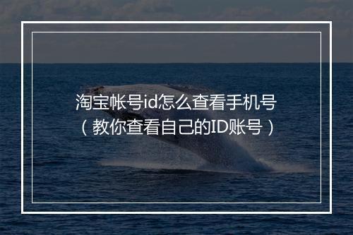 淘宝帐号id怎么查看手机号（教你查看自己的ID账号）