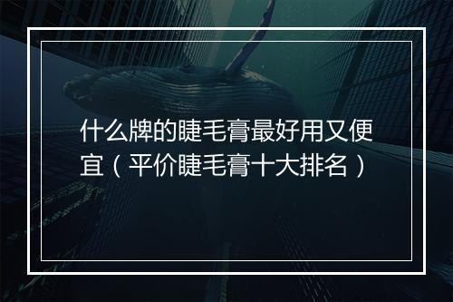 什么牌的睫毛膏最好用又便宜（平价睫毛膏十大排名）