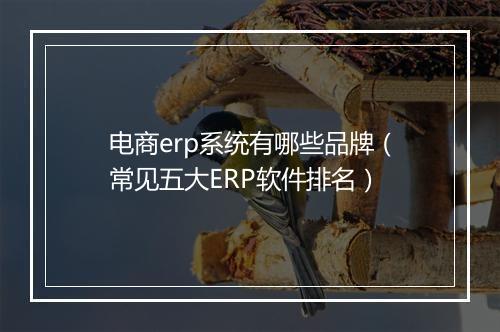 电商erp系统有哪些品牌（常见五大ERP软件排名）