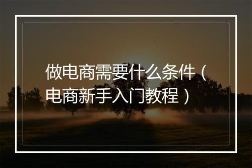 做电商需要什么条件（电商新手入门教程）